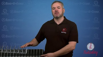 The Basics of Bird Spikes: Stainless Steel vs Plastic | Bird B Gone