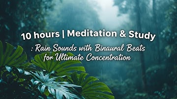 Heavy Rain in Tropical Forest | Relaxation That Feels Like Magic | 10 Hours ASMR