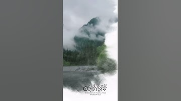 شريف مصطفى | حالات واتس اب تخشع لها القلوب من سورة الواقعة