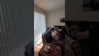 10909 Keys Gate Dr Riverview FL, 33579 / Video Tour