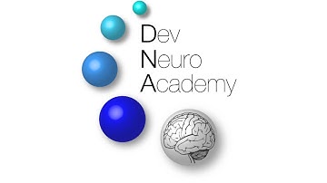 @TheLab: Brain Slicing