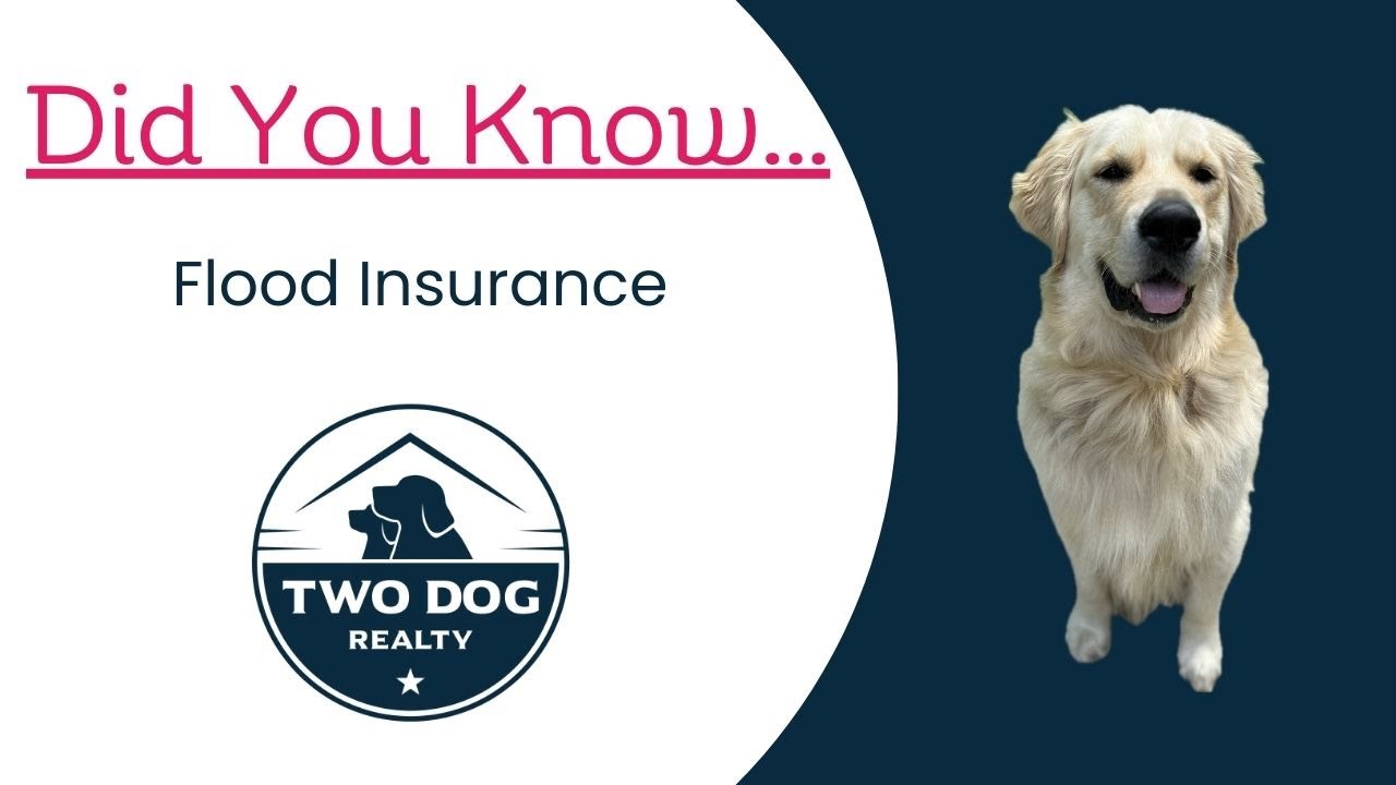 Golden retriever beside Flood Insurance graphic for Richmond, Virginia homeowners.