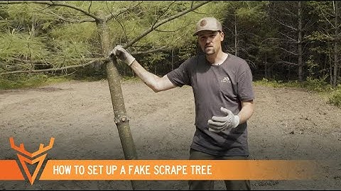 Creating the PERFECT Fake Scrape Tree | S1E17 | Wired To Hunt