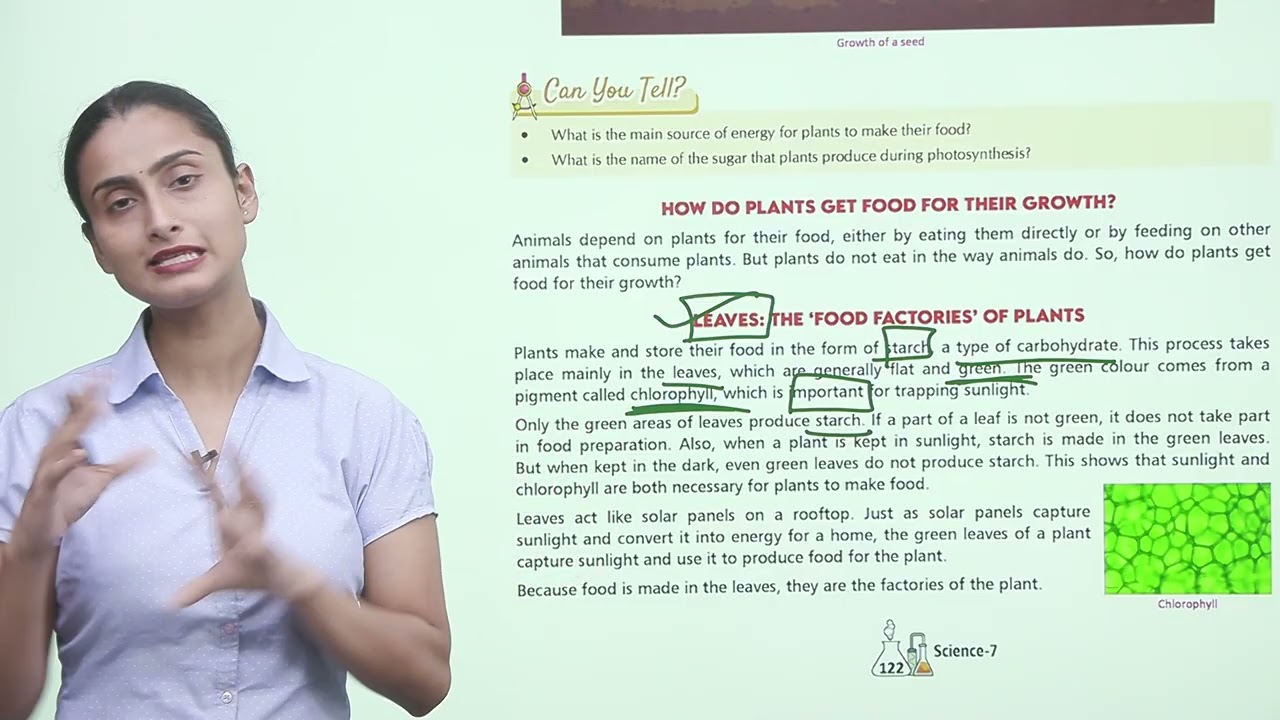 Ch 10 | Jophiel Books | Science | Class 7 | Life Processes in Plants   | For children