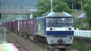 山陽本線 EF210-123号機+コキ 25B+EF67-102号機 貨物列車 寺家駅通過
