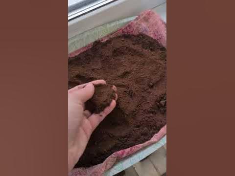 Кофейный жмых - это очень хорошая натуральная подкормка для растений👍 ...