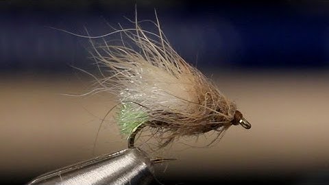 Egg-Laying Grannom Caddis