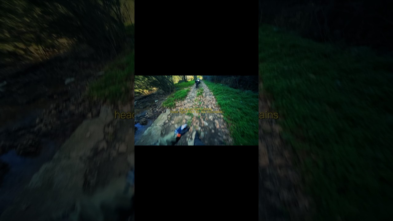 CF Moto 450MT - Cinematic Exhaust Edit 