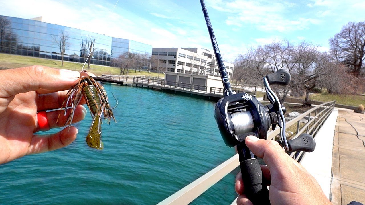 Bank Fishing NEW Urban Ponds!! (KICKED OUT) YouTube