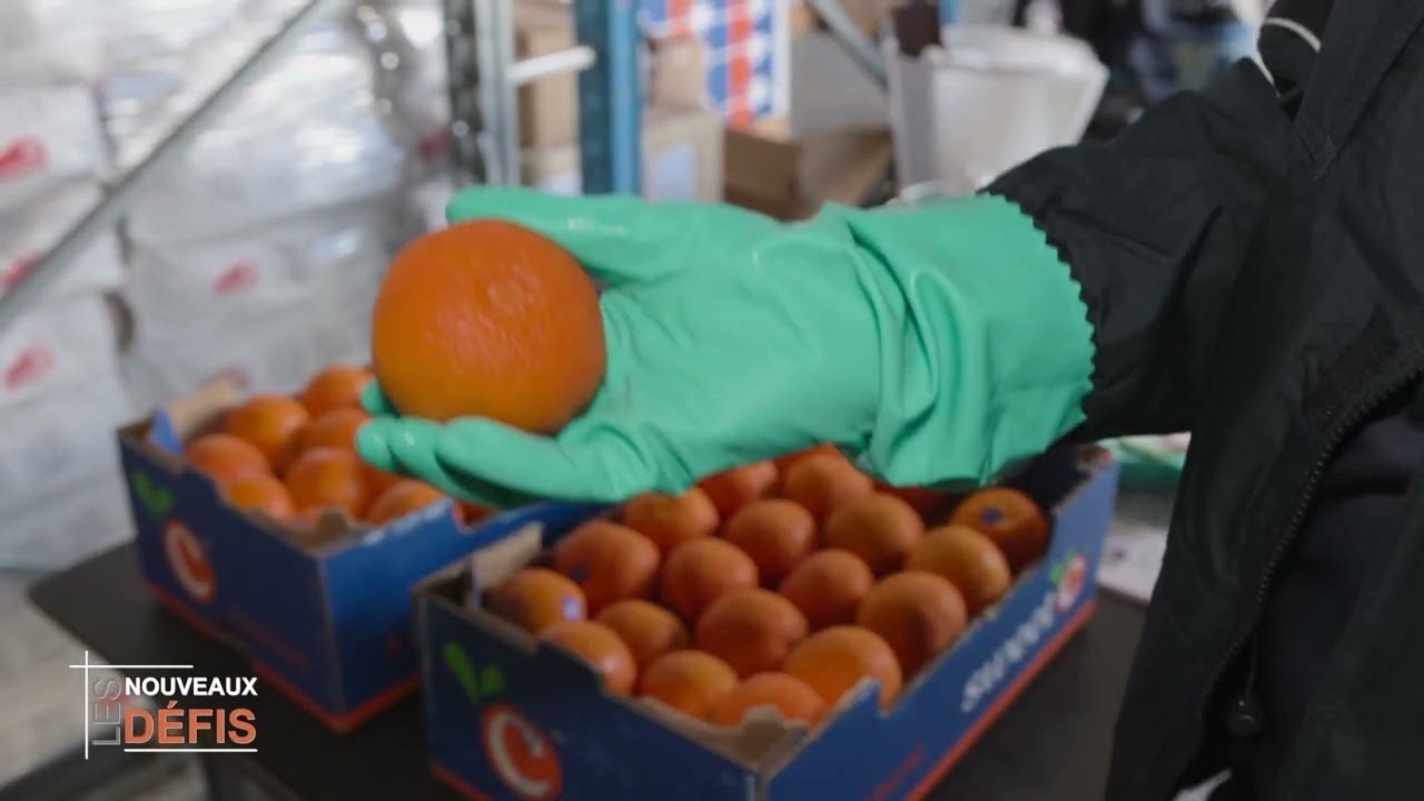 Comment un conteneur est dédouané à La Réunion SNT