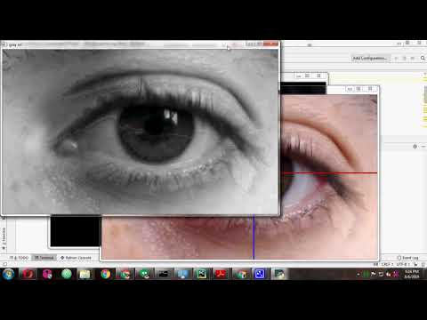 Iris Recognition