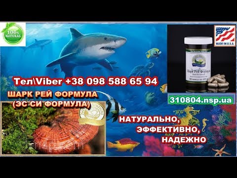 Иммуномодулятор, онкопротектор. АКУЛИЙ ХРЯЩ + РЕЙШИ=ШАРК РЕЙ ФОРМУЛА NSP.