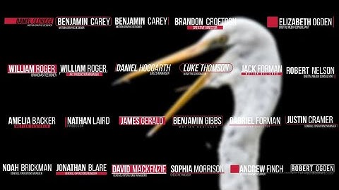 25 Clean Lower Third Motion Graphics Templates