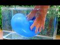 EXPERIMENT : POPPING BALLOONS UNDERWATER