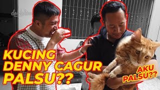 KUCING DENNY CAGUR TERNYATA PALSU??? feat Denny Cagur & Lucky Hakim