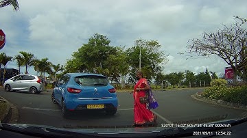 when you use Waze with PAWS voice option let the dog cross the road