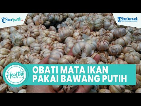 Video: 8 Cara Memasak Jagung Muda