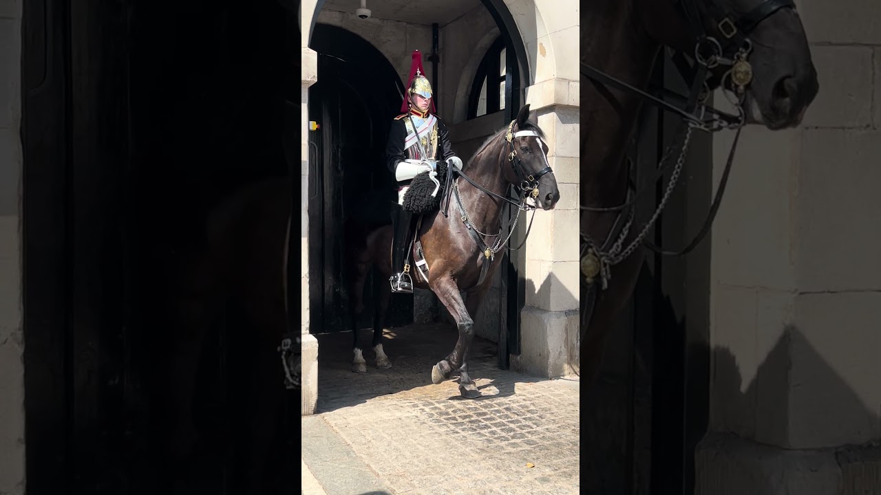 Cool Picture with the Blues and Royal.