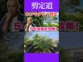 《仕上がり具合は。。》金木犀 いよいよ仕上げ剪定です　 #剪定方法 #庭作業 #庭木の管理 #庭木の手入れ #金木犀 #実家の庭 #庭じまい