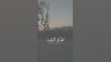 آيات من سورة يونس للقارئ محمد أيوب