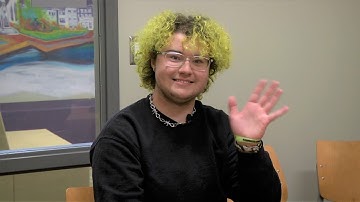 What does test-optional mean?