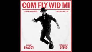 Shaggy - Come Fly with Me