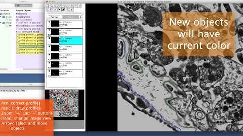 TrakEM 2D Fiji Tutorial.mp4