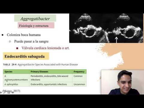 Video: Rozdíl Mezi Pasteurella A Haemophilus