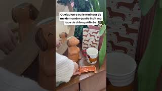 Idées cadeaux pour les Teckels lovers 🐶❤️