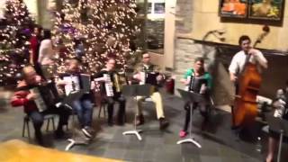 Um Ya Ya accordions!