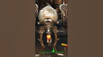 Which Robot Is Better In Fallout?