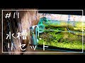 #11【アクアリウム】６０cmスリム水槽リセットしました/charm/おまかせ水草詰め合わせパック/メイン水槽/小型水槽/リセット動画/aquarium/vlog