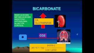 Arterial blood gases interpretation pH 12/29(English)
