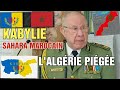 KABYLIE SAHARA OCCIDENTAL MAROCAIN L'ALGÉRIE DANS UNE IMPASSE DIPLOMATIQUE PIÉGÉE PAR SES RUSES
