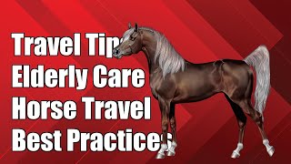 What are the best practices for traveling with an elderly Arabian horse?