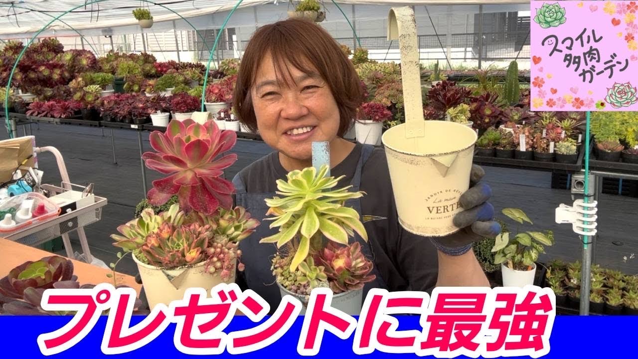 母の日におすすめ🌸】'26.5.7かけても置いても可愛い多肉寄せ植え
