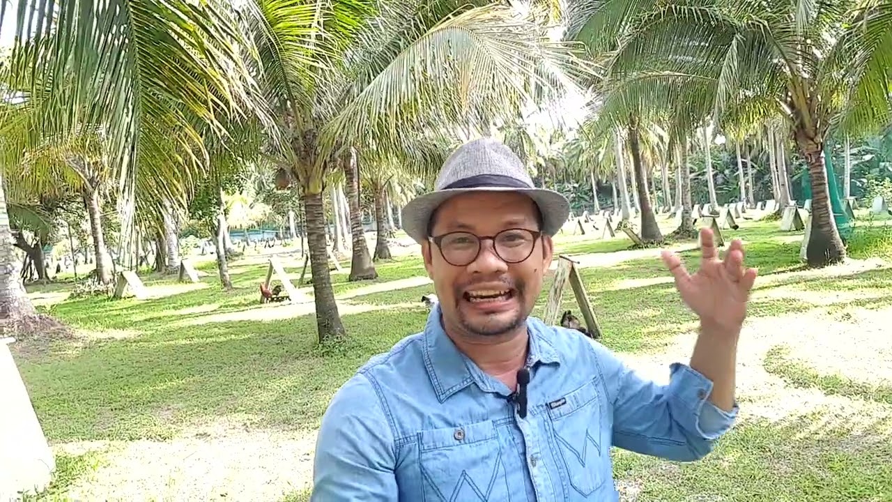 Paano Sipatin ang Sharp na Manok sa Pagkahig