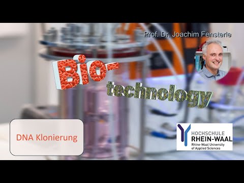 Video: Gibt es andere Methoden zur Reinigung von PCR-Produkten?