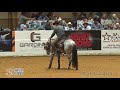 Plain catty ridden by jake d gorrell   2017 snaffle bit futurity rein work open finals