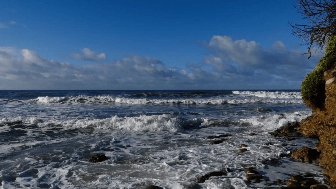 Morning Waves at Sunrise - 30 Minutes of Natural Sounds for Studying, Sleeping & Stress | No Music