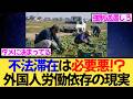 不法滞在の外国人は必要悪！？農家の本音が物議...通報制度は機能するのか？