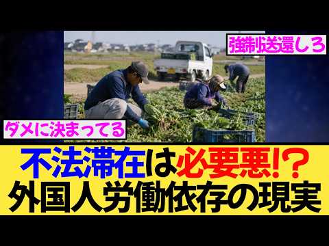 不法滞在の外国人は必要悪！？農家の本音が物議...通報制度は機能するのか？ - 時事トレンドニュース速報