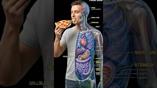 You Eat Pizza… But THIS Is Happening Inside Your Body 😳🍕 | Body Reaction Animation #viral #shorts