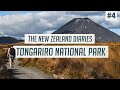 Epic Volcanoes & Beautiful Waterfalls | Tongariro National Park | New Zealand Guide #4