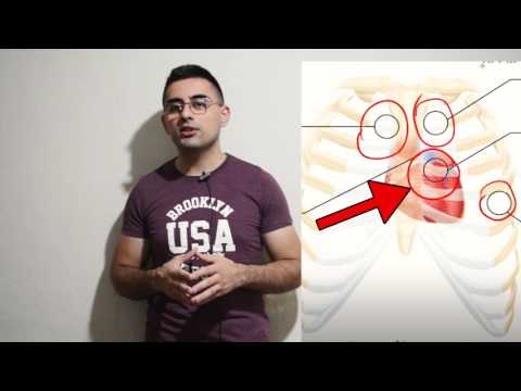 გულის აუსკულტაცია, გულის აუსკულტაციის ადგილები