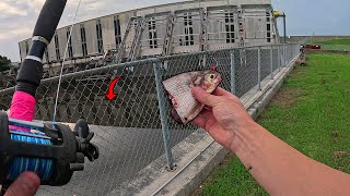 I Caught The Pumping Station MONSTER... AGAIN?! (did it grow?)