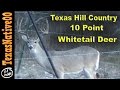 Central Texas White Tail Buck Deer - 10 Point