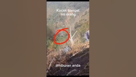 kocak banget malah nyemplung jurang🤣🤣 #viral #shorts #kocak #lucu #moments
