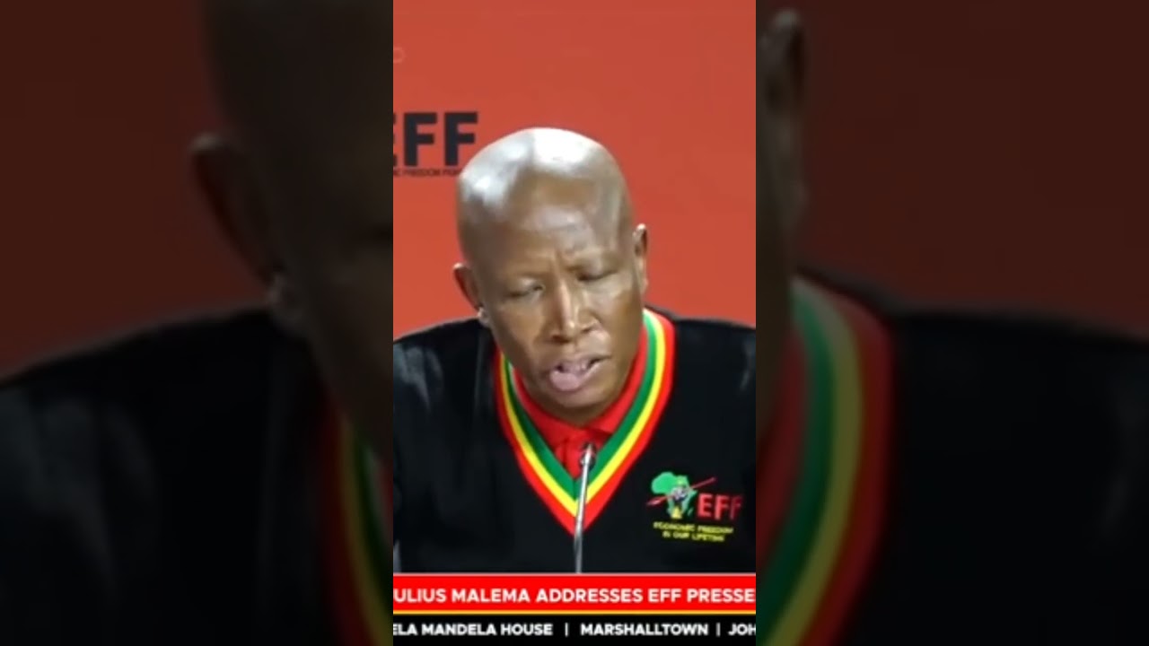 Malema Shocking Brutal Truth on Donald trump, Israeli Government, BRICKS and South Africa's stand