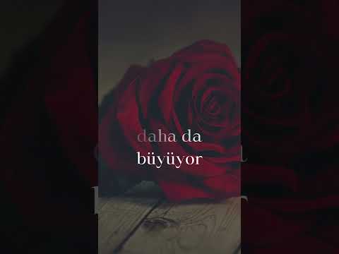 Seninle... #aşksevgi #sevgi
